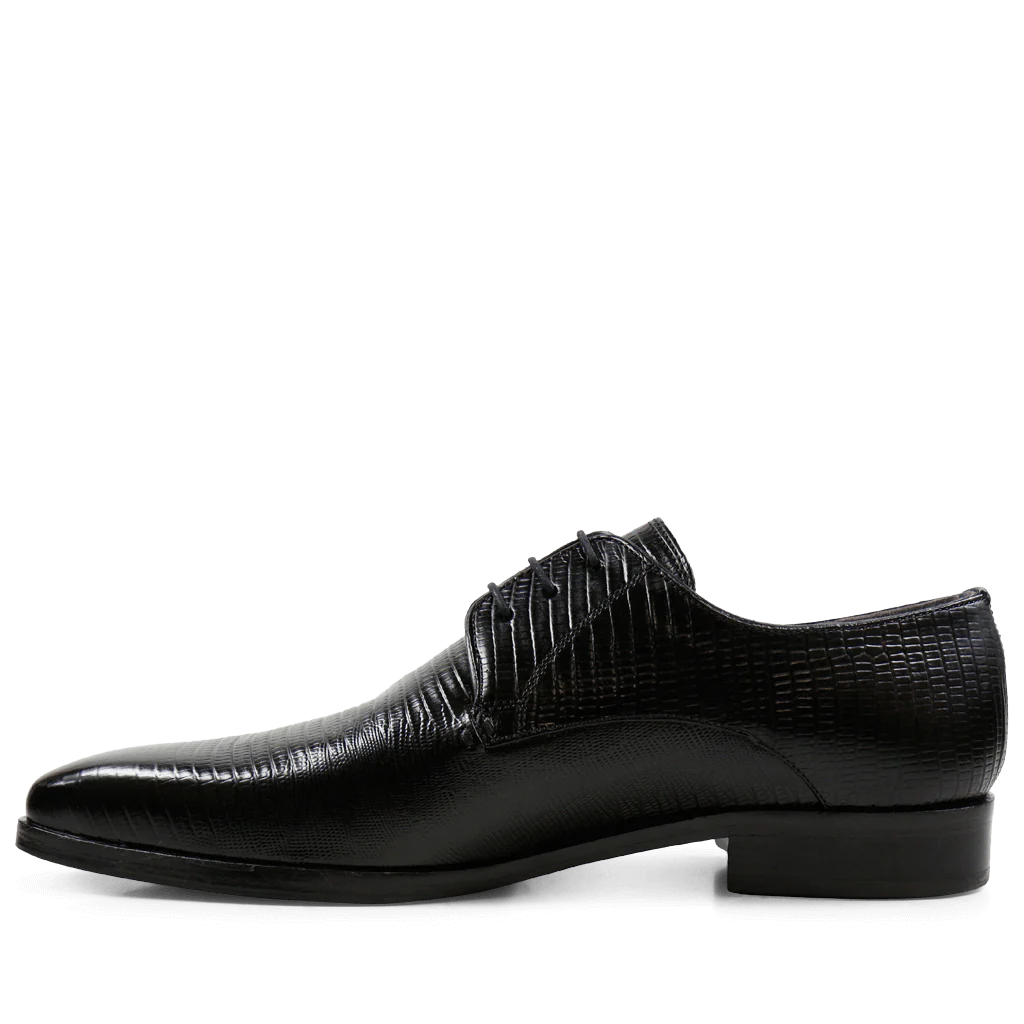 Lance 8 - Image 4