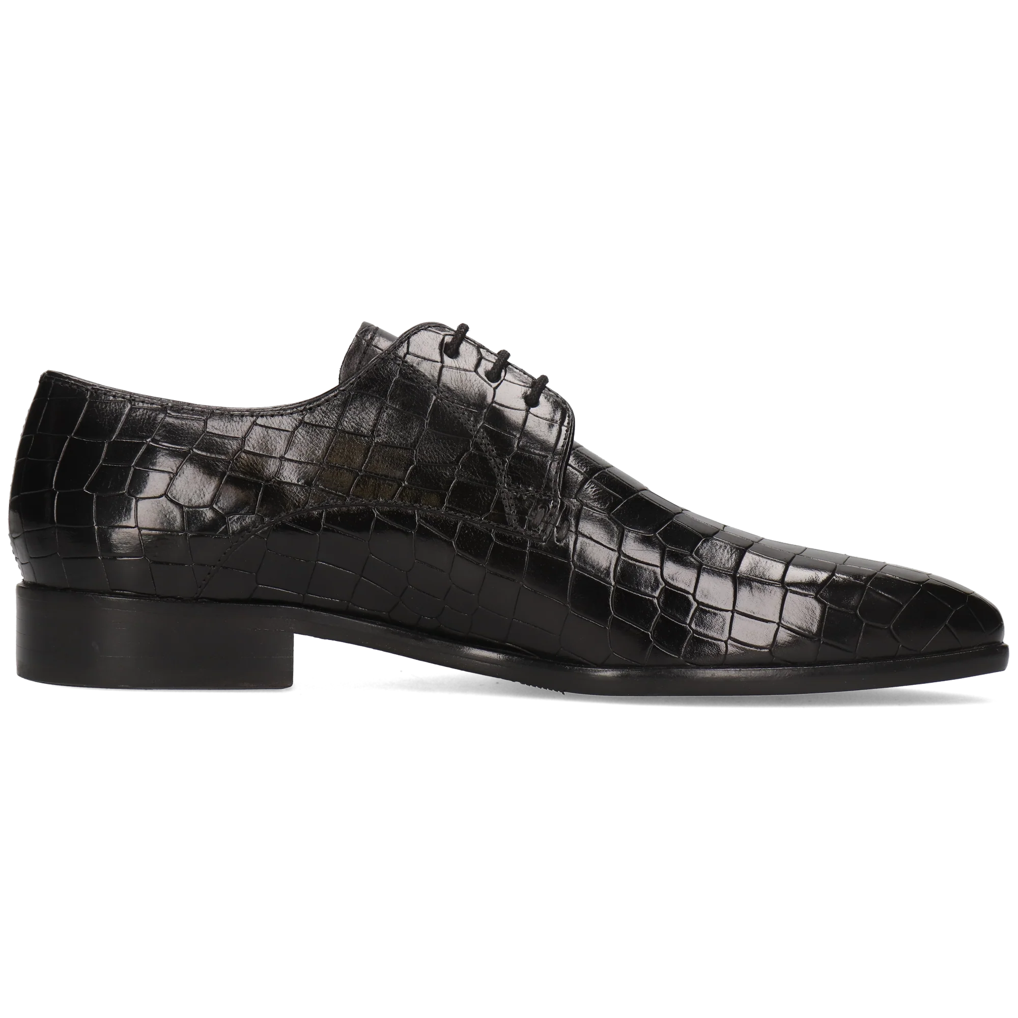 Lance 8 - Image 2