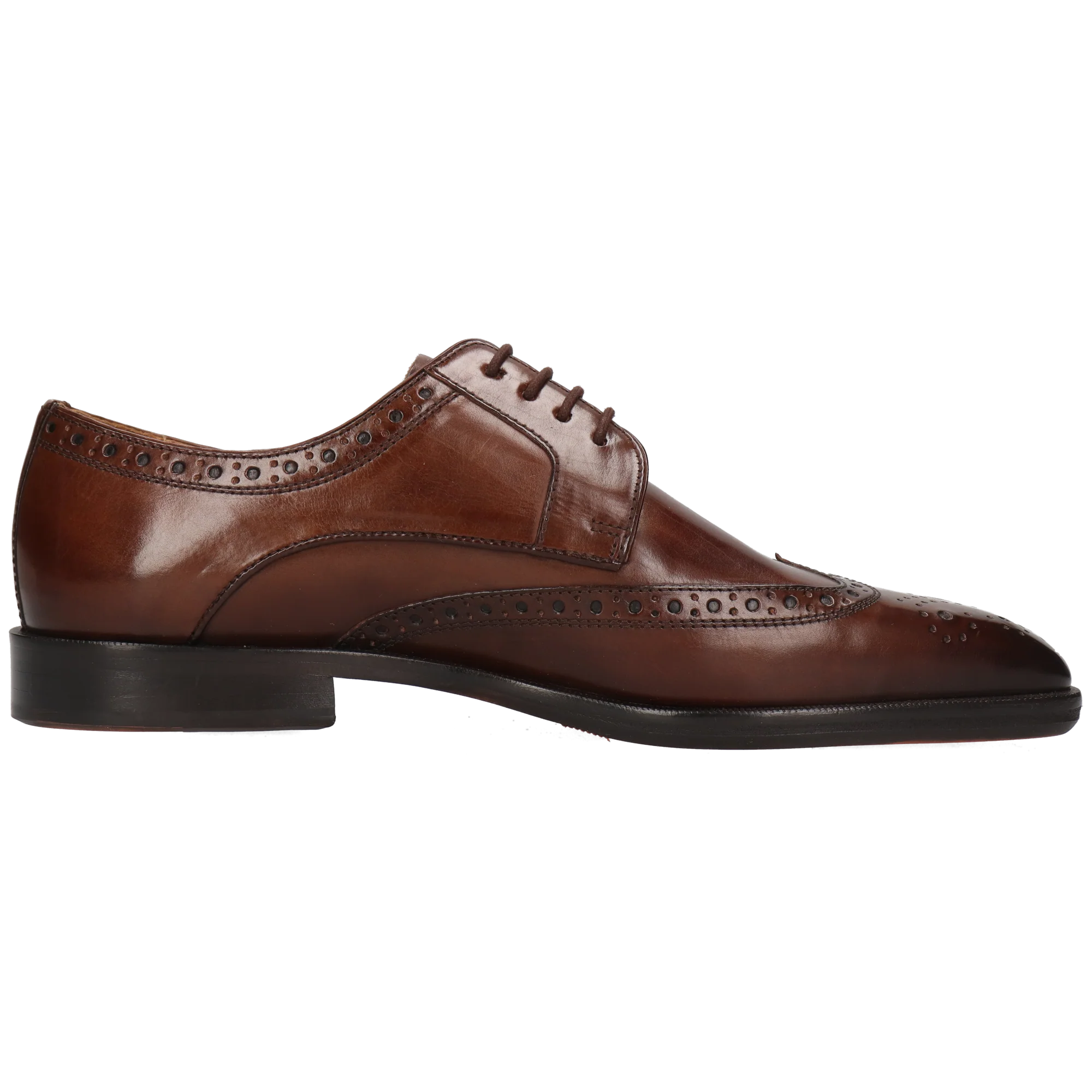 Stefano 4 - Image 2