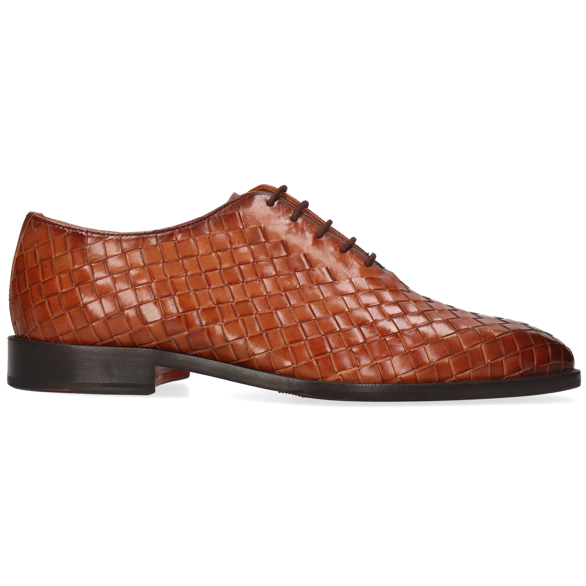 Stefano 8 - Image 7